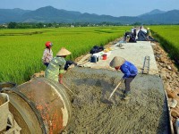 ảnh minh họa,