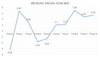 IIP 10 tháng qua trên địa bàn tỉnh Bình Định