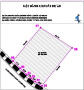 Vị trí khu đất thực hiện dự án Khu sản xuất, chế biến nông, lâm sản tập trung.