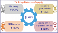 Tốc độ tăng chỉ số sản xuất công nghiệp (IIP) 9 tháng năm 2024