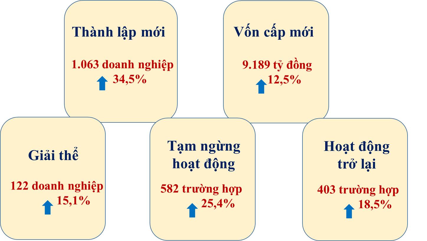 Tình hình phát triển doanh nghiệp trên địa bàn tỉnh